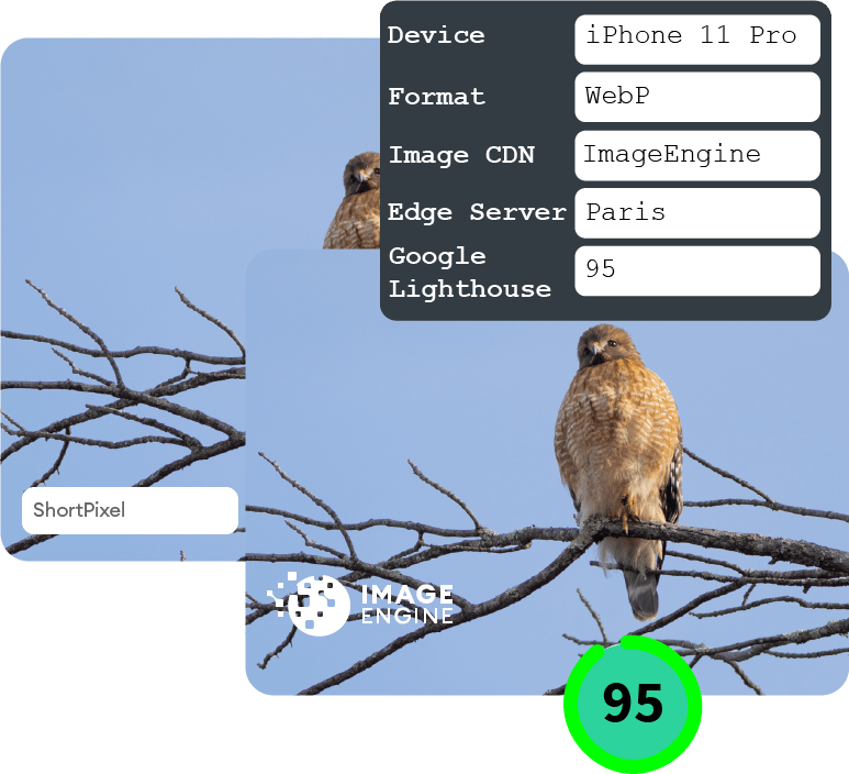 jpeg image