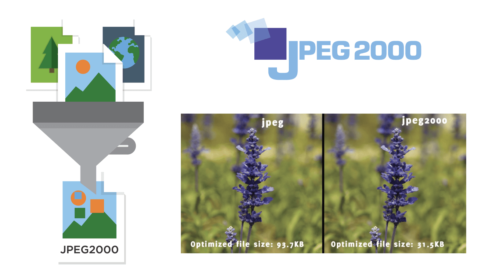 JPEG-2000-Header-image (1)